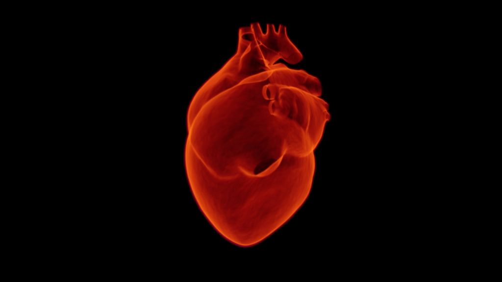 Estos son los médicos cardiólogos mejores de España