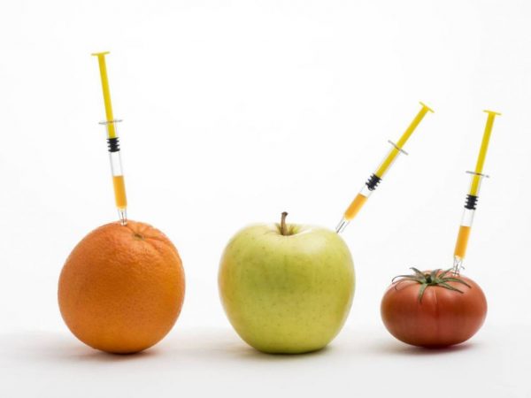 Alimentos transgénicos, estos son los que estás consumiendo sin saberlo 1 Merca2.es transgénicos