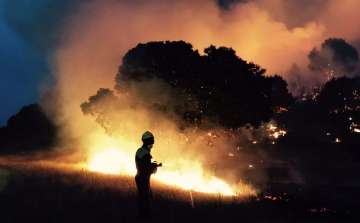 Bomberos Forestales protesta capital