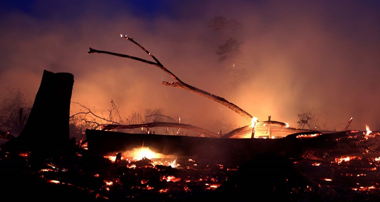 incendios DGT