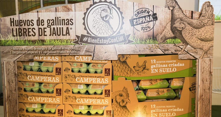 Huevos de gallina de corral en Lidl