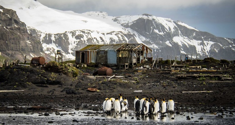 La Isla de Heard Australia