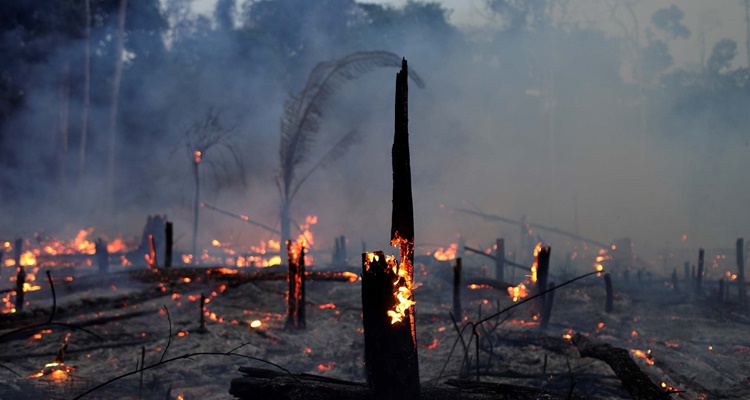 Las causas de los incendios del Amazonas