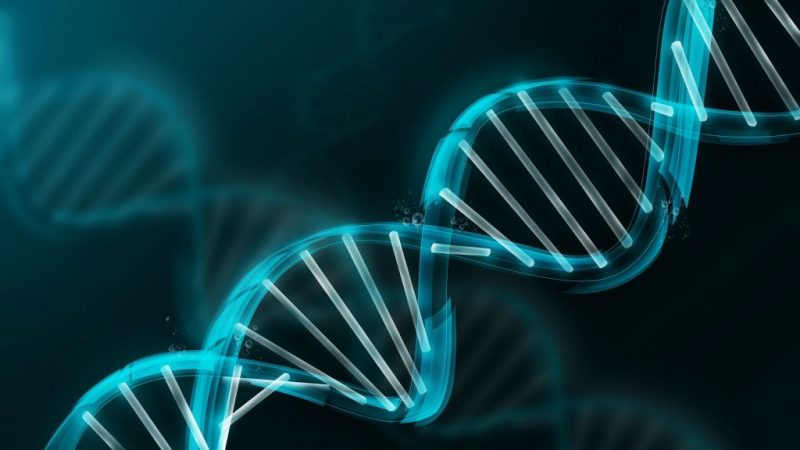 Tecnologías manipulación ADN