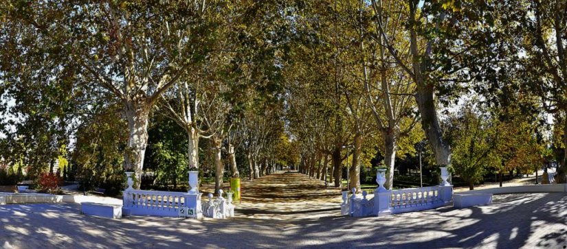 Parc Campos Eliseos, Lérida, Madrid, Sevilla, Vitoria