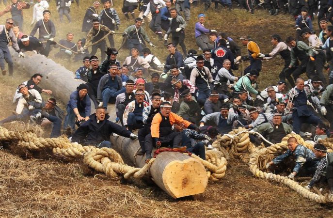 Festivales de Japón: tronco