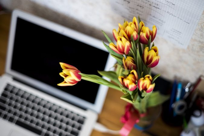 Oficinas coworking: las claves para llevar un clima positivo entre diferentes empresarios 3 Merca2.es flores oficina coworking