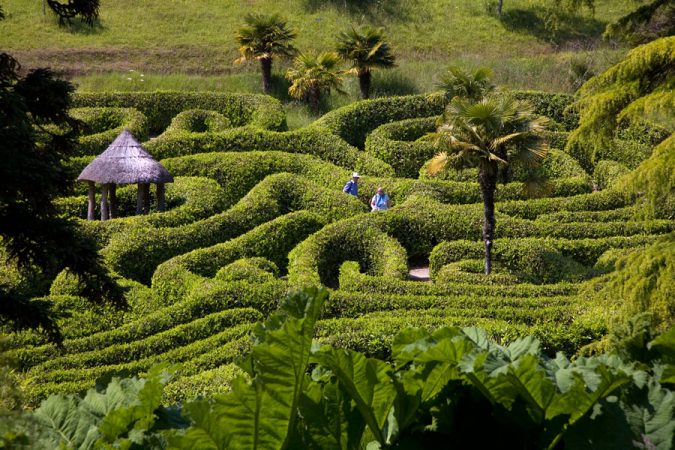 Glendurgan Maze