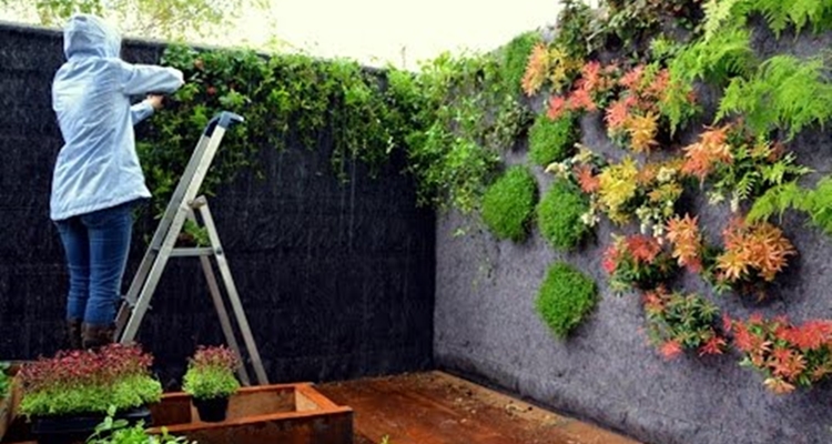 Negocios como ama de casa: paisajismo y jardín