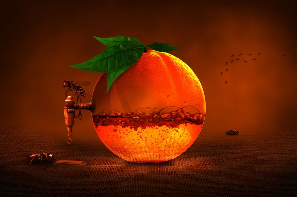 Estos alimentos son una magnífica fuente de vitamina C