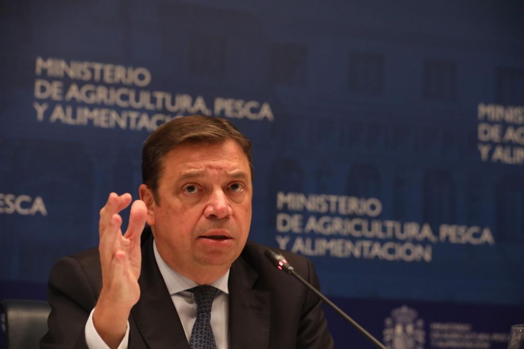 El almacenamiento privado de aceite de oliva entrará en vigor en noviembre