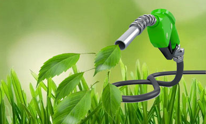 biocombustible
