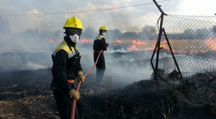 Bomberos Forestales CAM