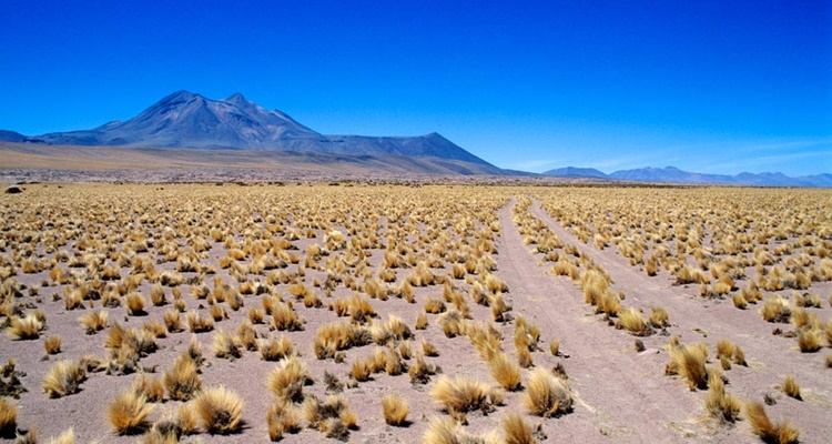 Chile un paraiso para los ufologos