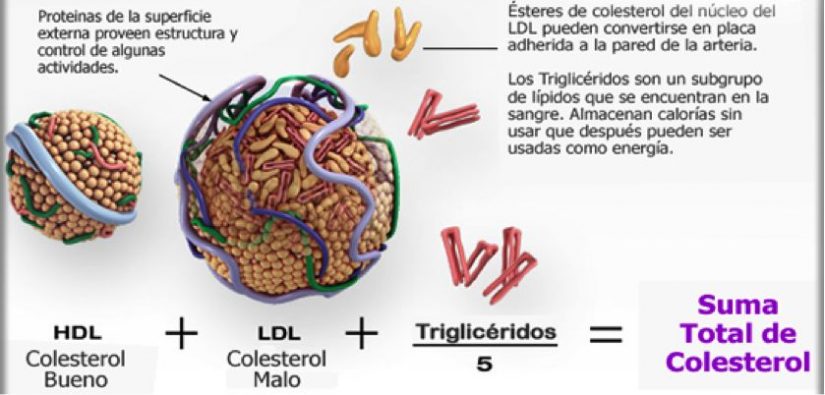 Estas son las consecuencias de tener el colesterol por las nubes 2 Merca2.es consecuencias de tener el colesterol por las nubes