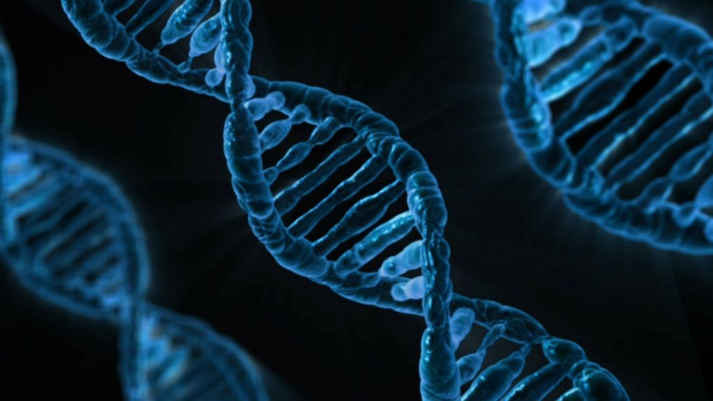 Cáncer por mutaciones hereditarias genéticas