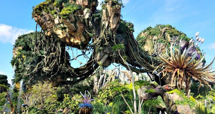 Disneys Animal Kingdom