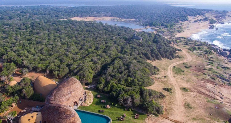 Las Selvas de Sri Lanka