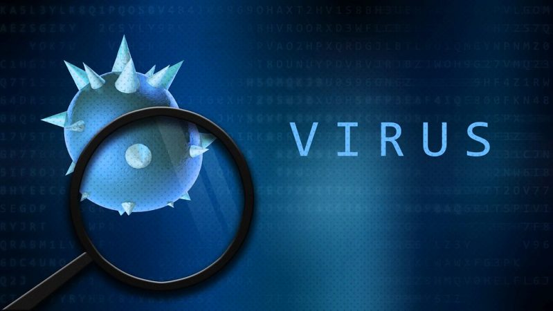 virus malware