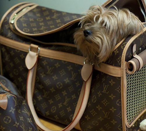 Los artículos de lujo que harán a tu perro un sibarita 2 Merca2.es Bolso de lujo para mascotas