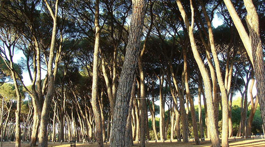 Madrid invertirá 350 millones de euros en la Casa de Campo del Norte