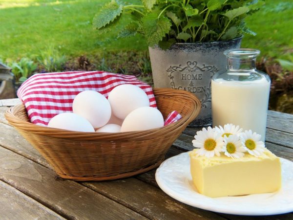 dieta vegetariano