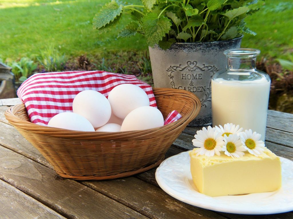 dieta vegetariano