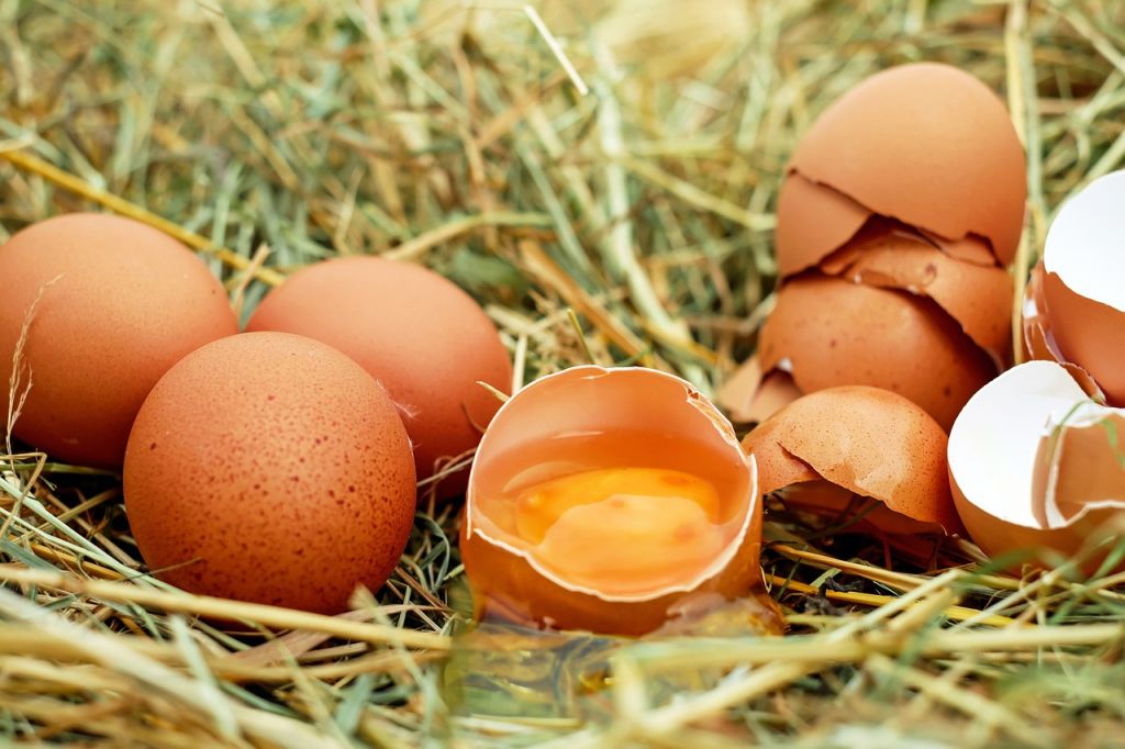 los huevos y el colesterol