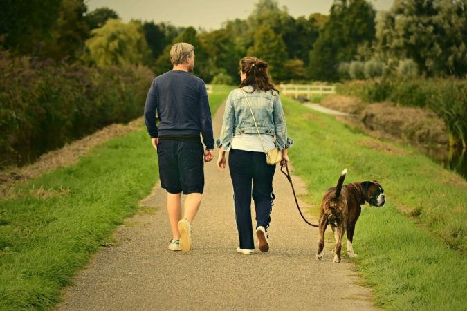 pasear con tu perro ayuda a tu corazón