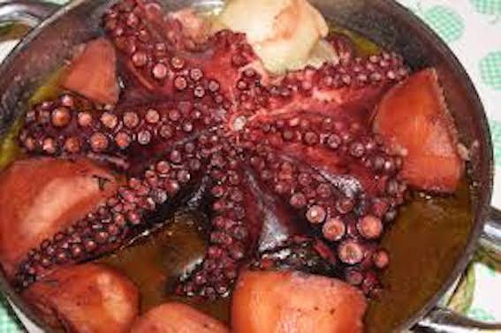 pulpo