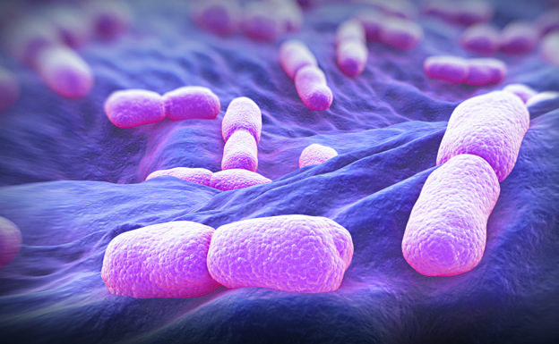 alerta sanitaria listeriosis quesos franceses