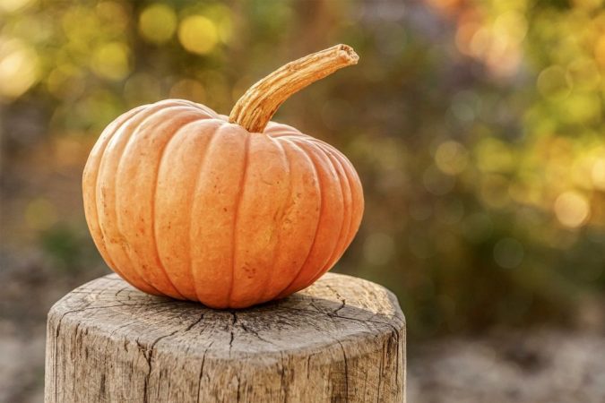 Croquetas de calabaza: el entrante más original para este otoño 