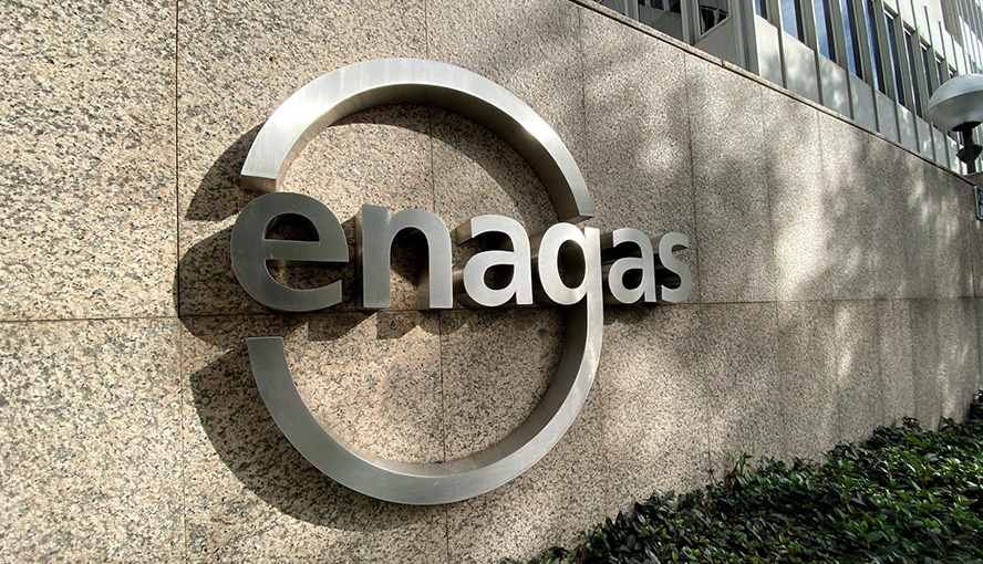 Enagás Tallgras
