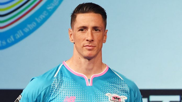 Fernando Torres empresa