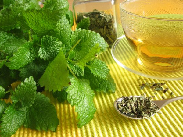 Infusión de melisa