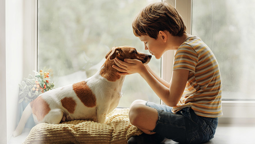 Mapfre consigue casi 5 millones en primas asegurando perros y gatos