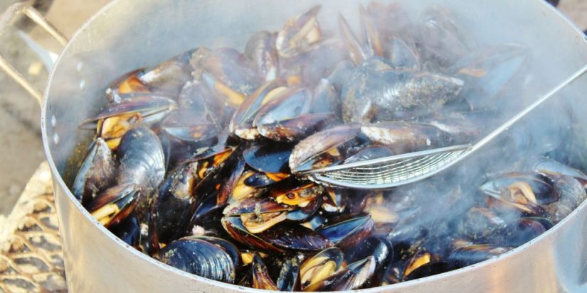 Mejillones en salsa: el truco perfecto para hacerlos en diez minutos