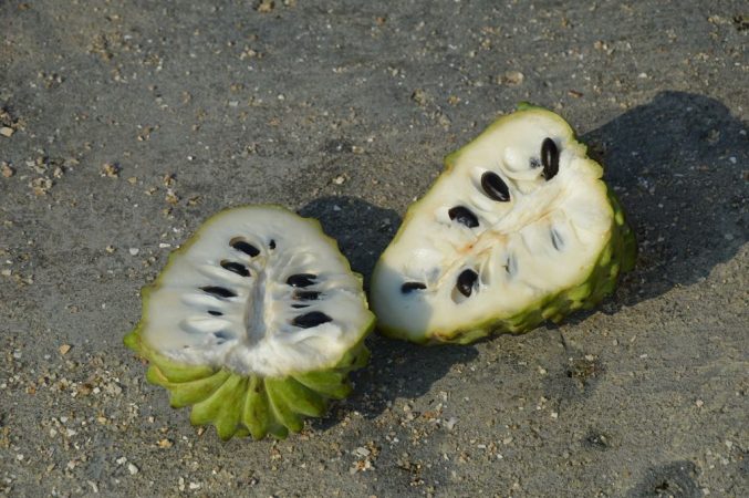 chirimoyas