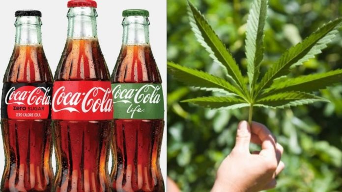 Coca cola quiere sacar una bebida con cannabis
