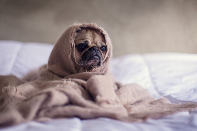 en cama por ibuprofeno