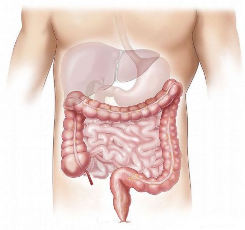 intestino y medicamentos