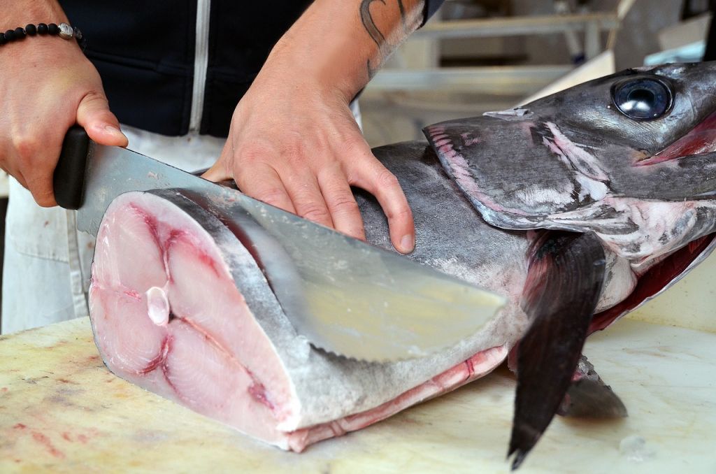 mercurio en pescados para niños