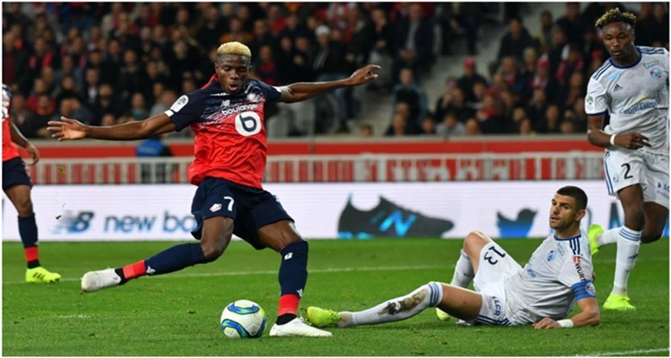 Oshimen, del LOSC Lille