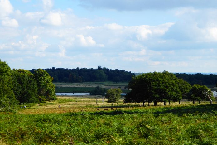 Richmond Park, Londres. Lugares de Reino Unido, Brexit