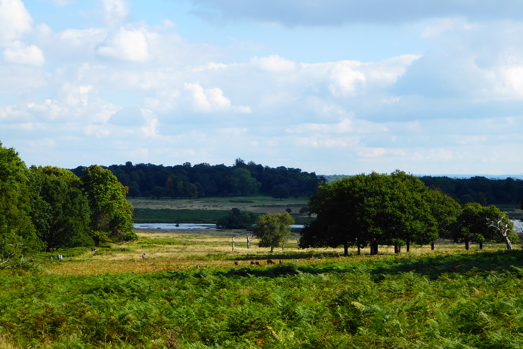 Richmond Park, Londres. Lugares de Reino Unido, Brexit