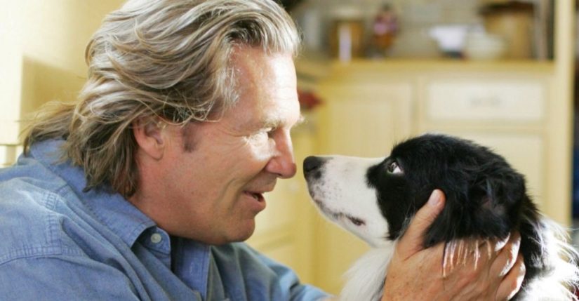 Películas propias de HBO que ya estás tardando en verlas 7 Merca2.es A Dog Year HBO