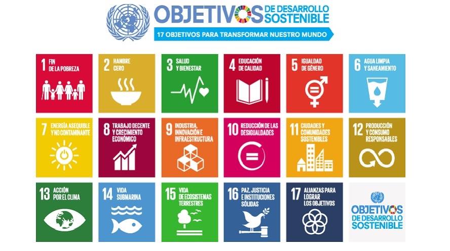 Así puede contribuir la empresa a la consecución de los ODS