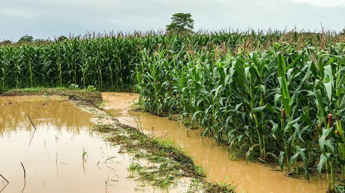 cambio climático seguros agrarios