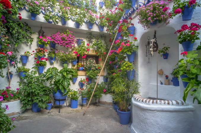 Patio de Córdoba, Navidad España