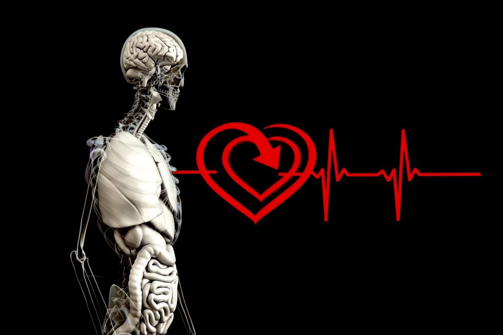 Así puedes evitar el cáncer de hígado